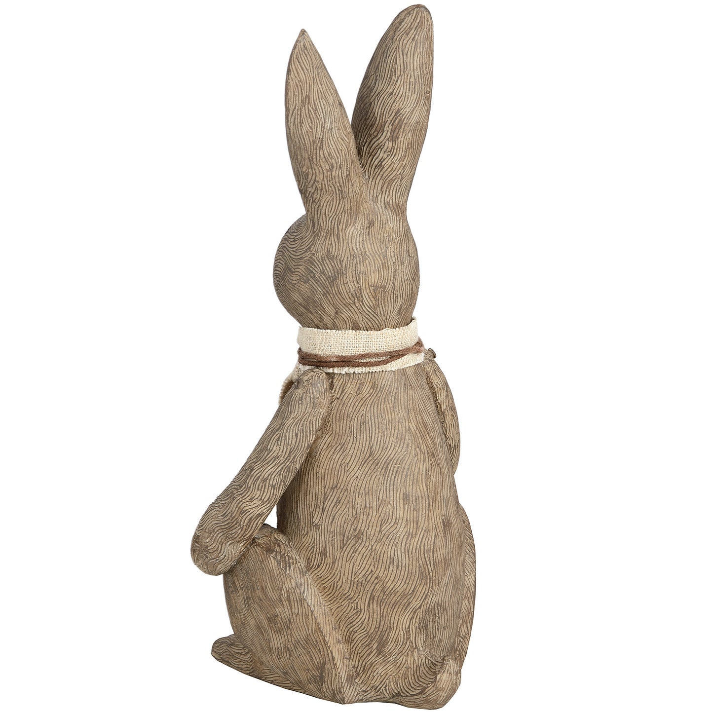 Winter Bunny Rabbits
