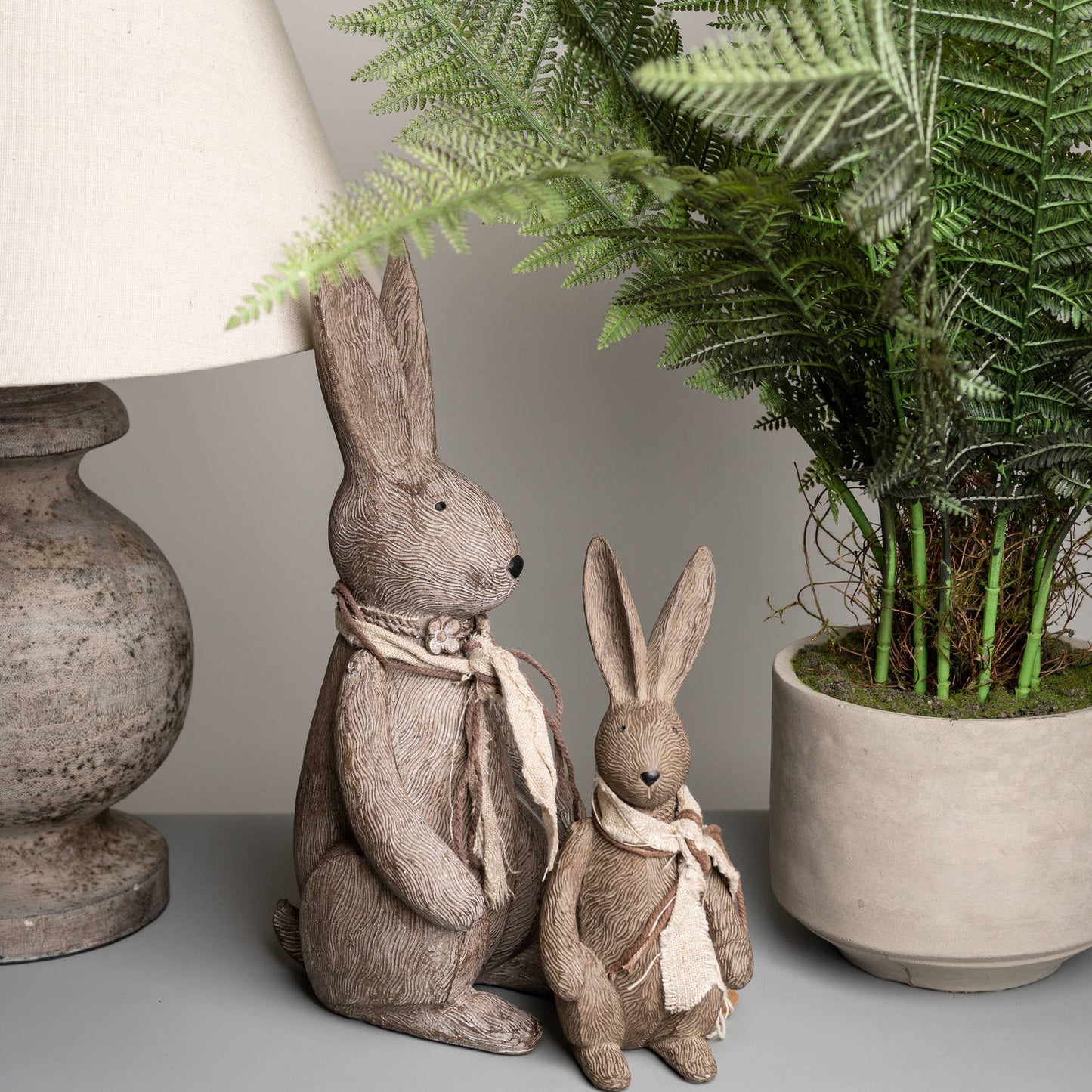 Winter Bunny Rabbits