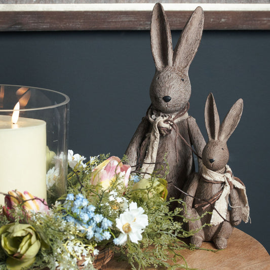 Winter Bunny Rabbits